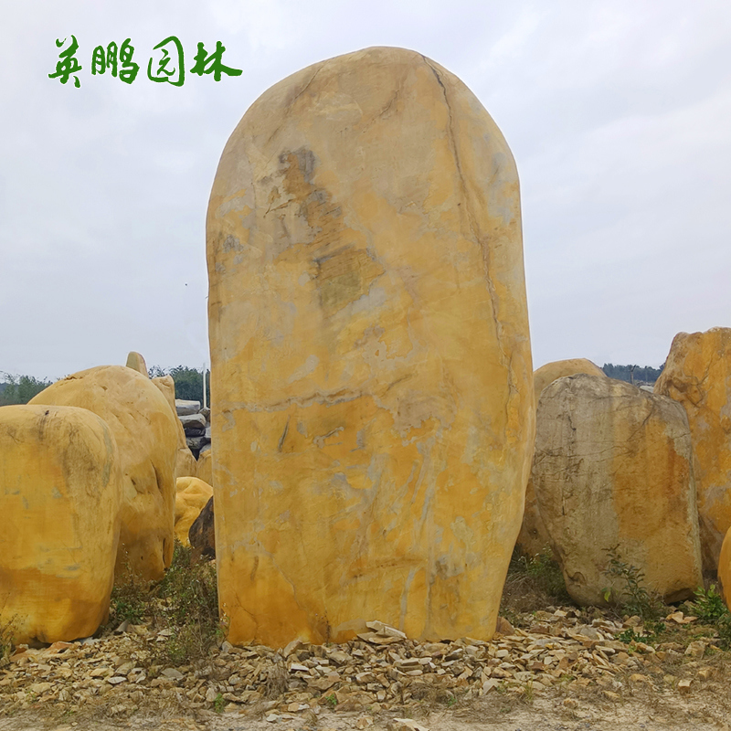刻字招牌黄蜡石 自然校园文化石 公园景观立式黄腊石